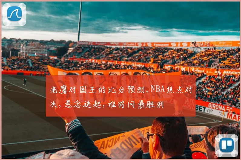 老鹰对国王的比分预测,NBA焦点对决,悬念迭起,谁将问鼎胜利